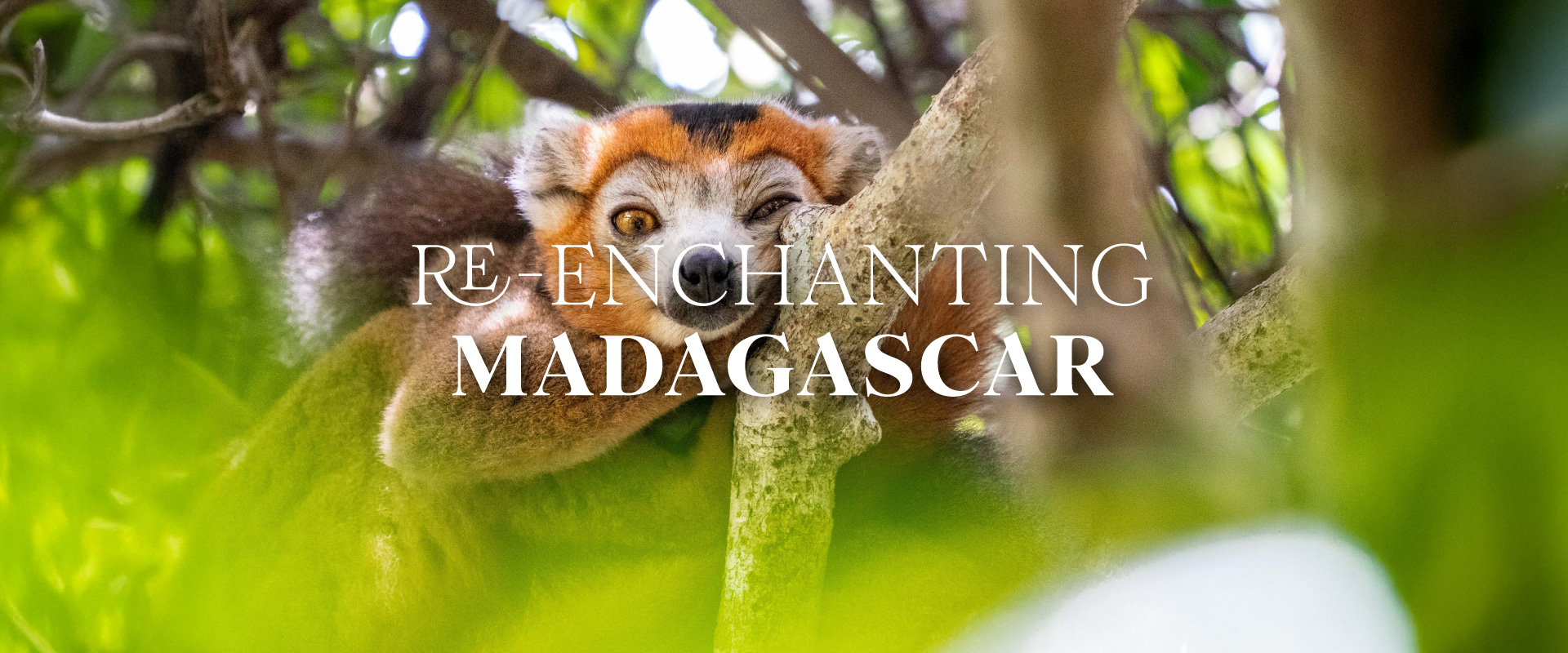 madagasgar