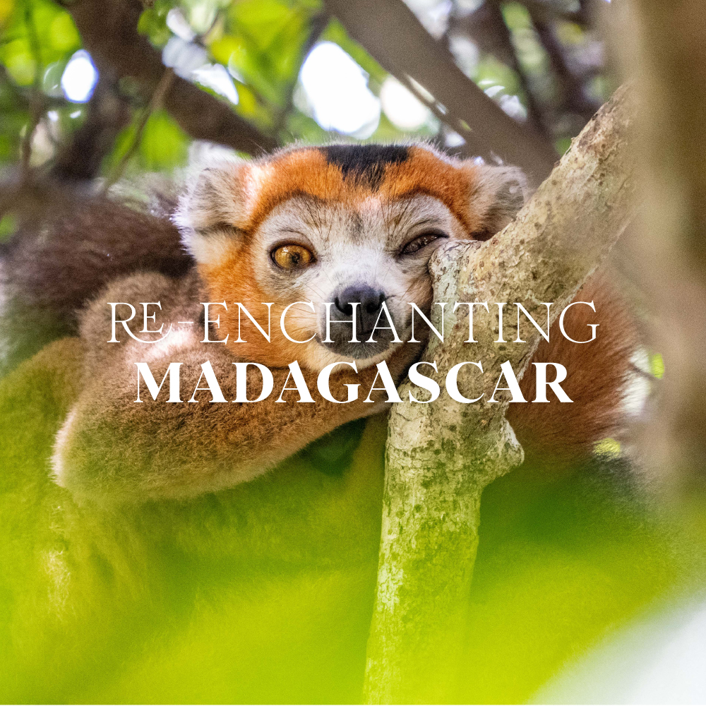 madagasgar_Mobile